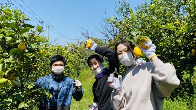 瀬戸内 の温暖な気候がはぐくむ 広島 レモン